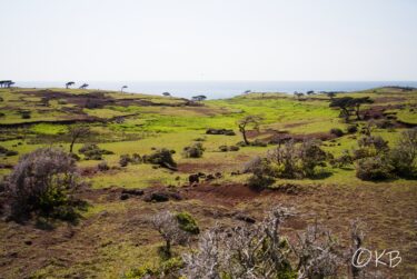 長崎旅行記④　野崎島