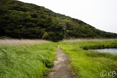 徳島旅行記③ 伊島